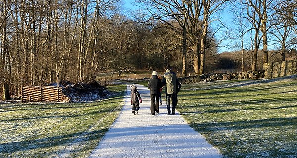 Barn och vuxna vinterklädda personer promenerar på frostig väg i solsken.